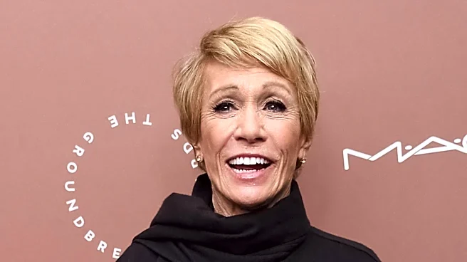 Barbara Corcoran Criticizes Kylie Jenner's Prolonged Mansion Renovation