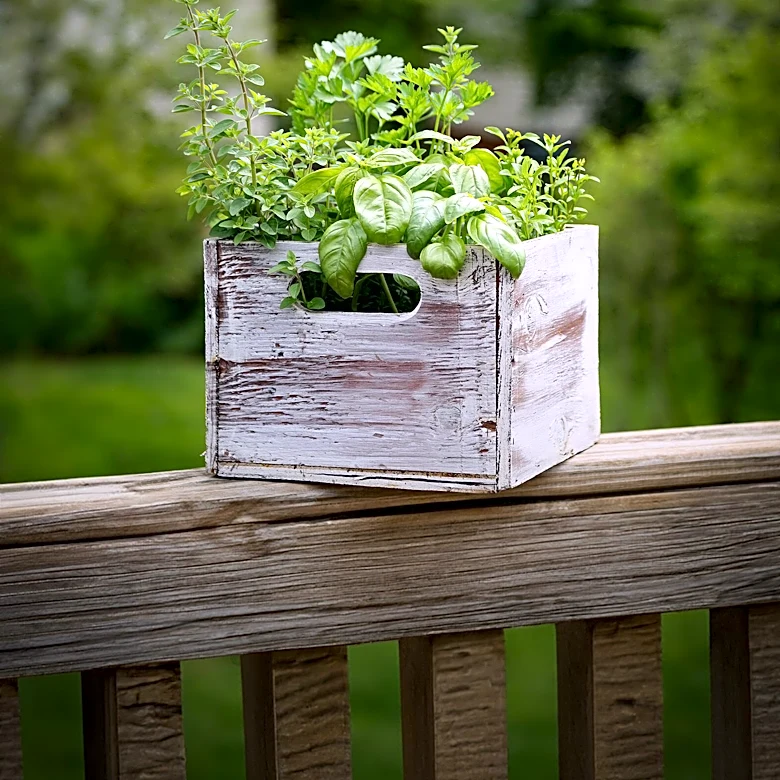 House Digest Details Pallet Reuse for DIY Herb Gardens