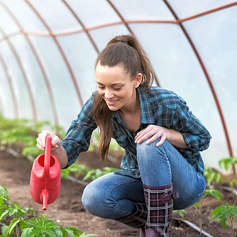 Historic New England Appoints Jennifer Mueller as Greenhouse Manager at Lyman Estate