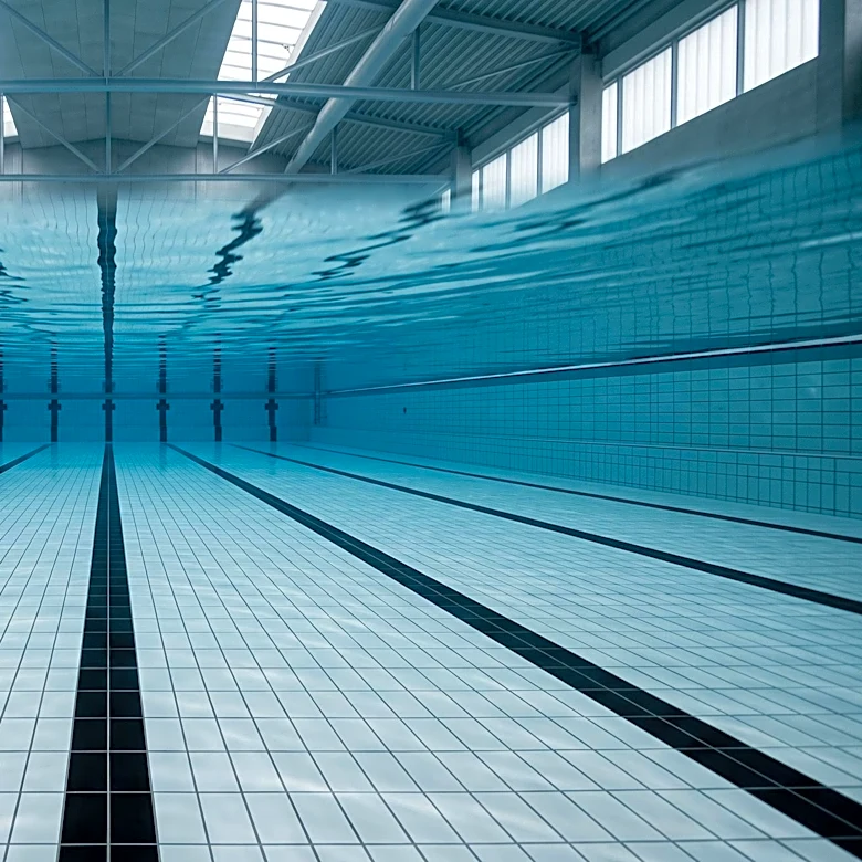 Singapore Finswimming Coach Jailed for Falsifying Competition Results
