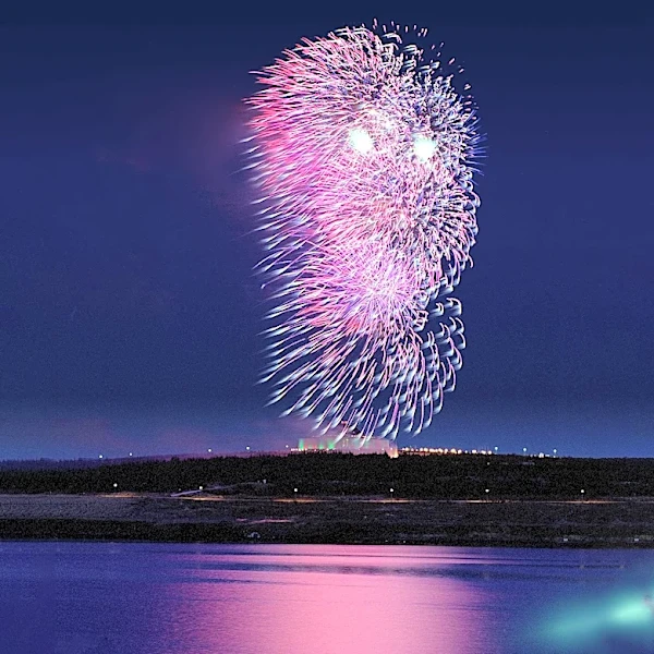 Fireworks AI Positioned as 'TSMC of AI Factories' Amid Shift Towards Specialized AI Models