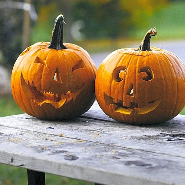 Food Network 'Halloween Wars' Winner Daniel Miller Carves Lifelike Bill Murray Pumpkin