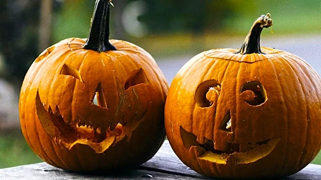 Food Network 'Halloween Wars' Winner Daniel Miller Carves Lifelike Bill Murray Pumpkin