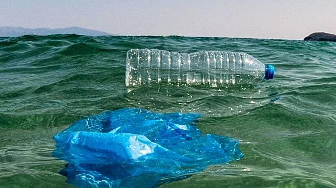 Endangered Species Chocolate Achieves Ocean Plastic Neutral Status, Supports Wildlife Conservation