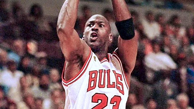 Chicago White Sox Chairman Jerry Reinsdorf Guided Michael Jordan's Baseball Career