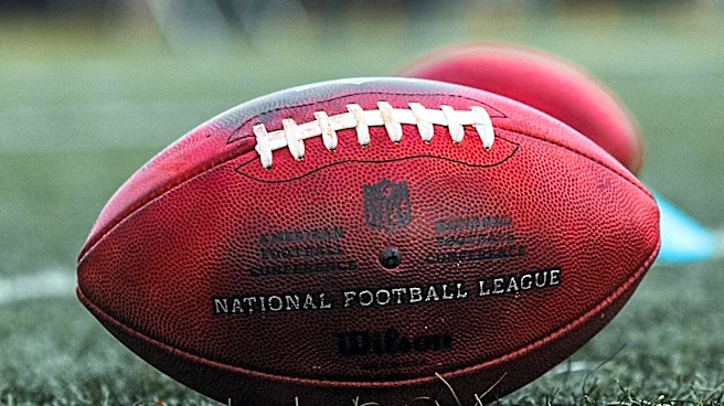 Private Equity Firm Apollo Sports Capital Explores NFL Investment Opportunities