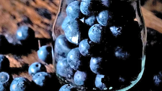 Driscoll's Faces Intellectual Property Challenges in China's Blueberry Market