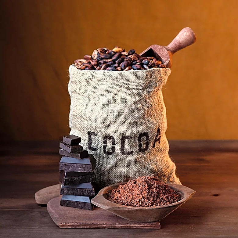 Zingerman’s Candy Partners with Ecuador’s Conexión Chocolate for Ethical Sourcing
