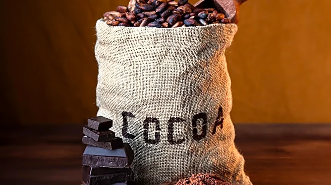 Zingerman’s Candy Partners with Ecuador’s Conexión Chocolate for Ethical Sourcing