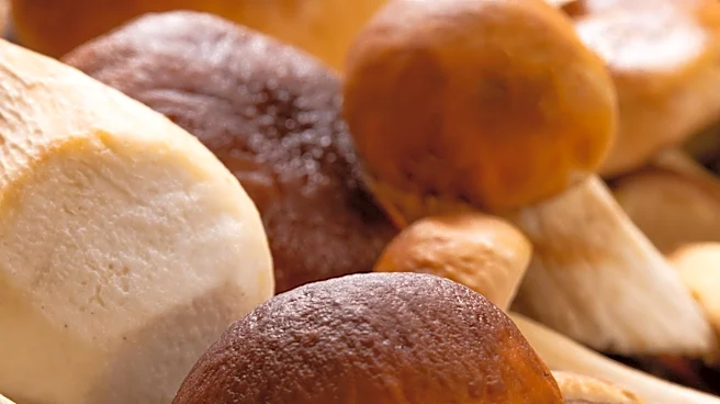 To-Jo Mushrooms Facility in Avondale, PA Receives EarthKosher Certification