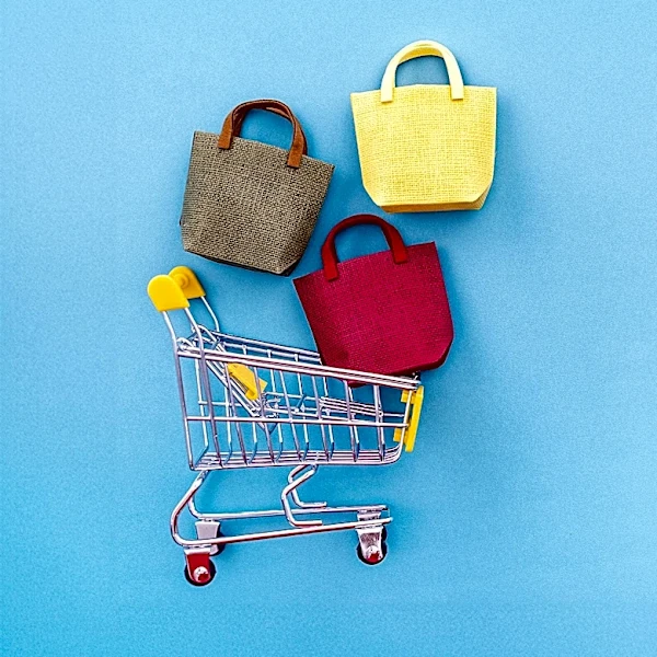 U.S. Consumers' Online Shopping Habits Reshaped by Return Policies and Fraud Concerns