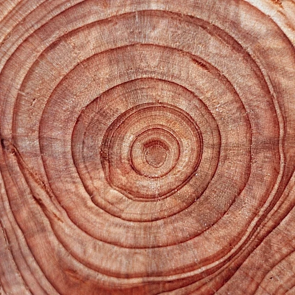 Sierra Pacific Industries, a Major U.S. Lumber Producer, Seeks Millwrights in Northern California