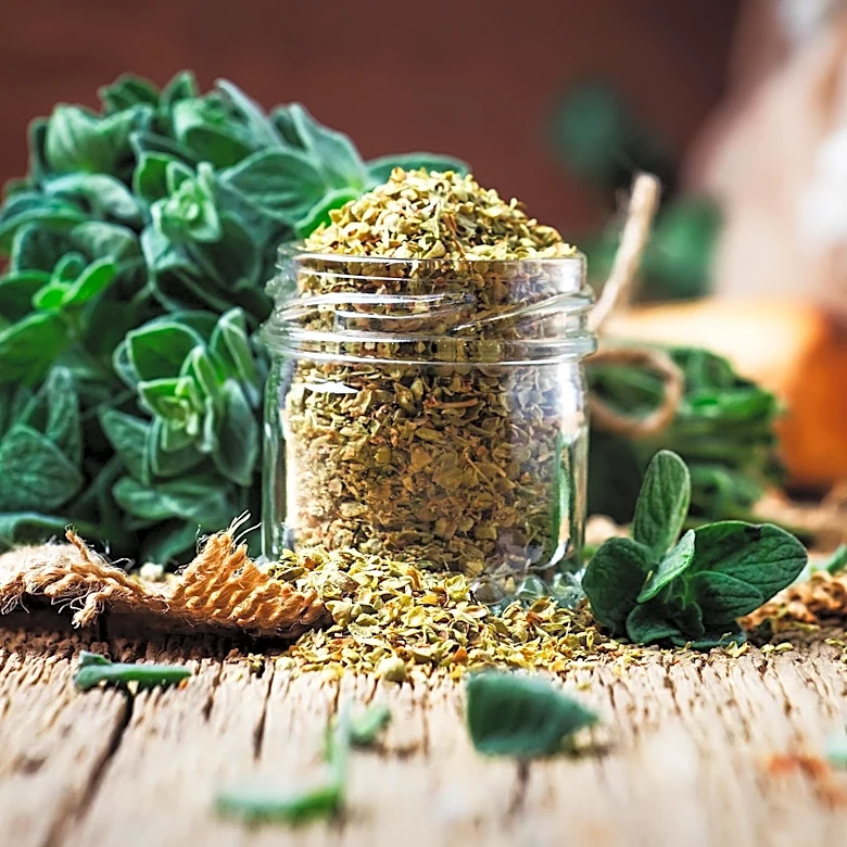 Oil of Oregano Lacks Robust Human Evidence for Health Claims, Posing Safety Concerns