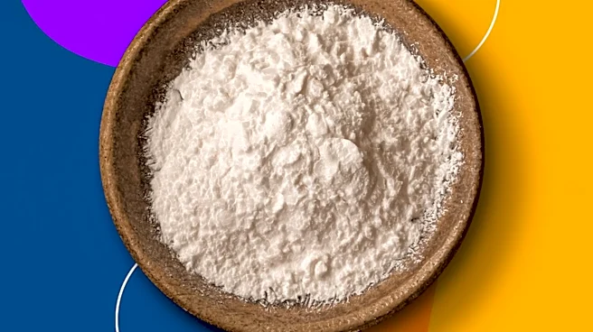 Psyllium Husk and Probiotics: Distinct Roles in Digestive Wellness Explored