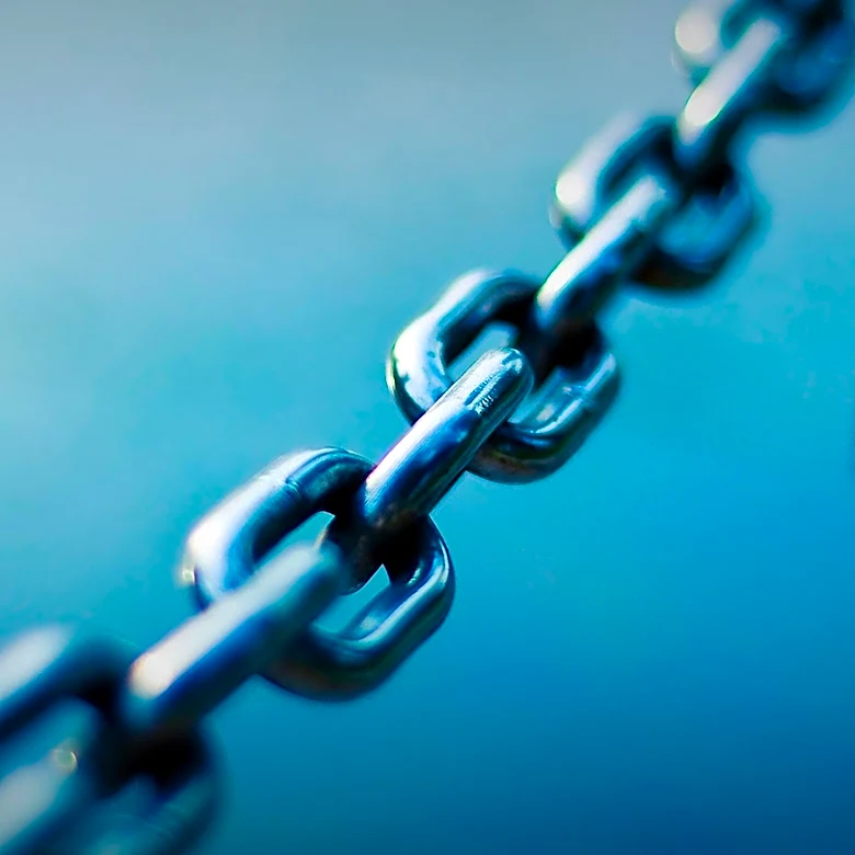 Nona Biosciences Develops First Language Model for Fully Human Heavy-Chain-Only Antibodies