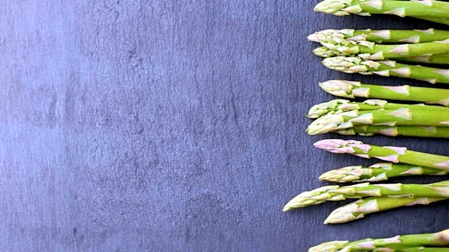 Foraging Wild Asparagus Offers Nutrient-Dense, Low-Carb Vegetable Option
