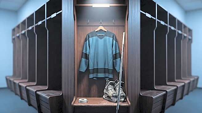 Former San Jose Sharks Forward Ryan Reaves Announces Retirement After 16-Year NHL Career