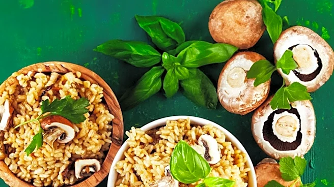 Mushroom-Based Products Gain Prominence in Vegan and Plant-Based Culinary Scenes