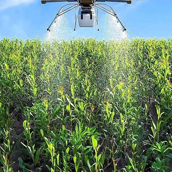 Bayer-Backed Robigo Secures Funding to Advance Engineered Microbe Crop Protection in U.S. Agriculture