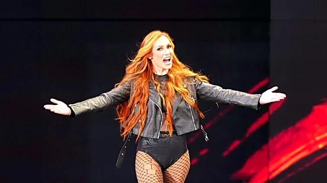 WWE Stars Seth Rollins and Becky Lynch Encounter Overwhelming Fan Crowd at Mexico City Airport