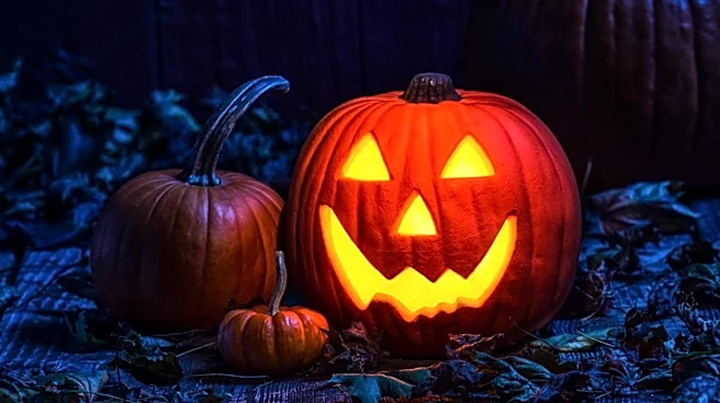 1978 Film 'Halloween' Achieved Massive Profitability on Minimal Budget