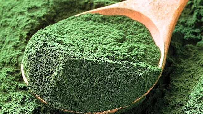 Nutrition Experts Clarify 'Superfood' Definition and Recommend Accessible Options