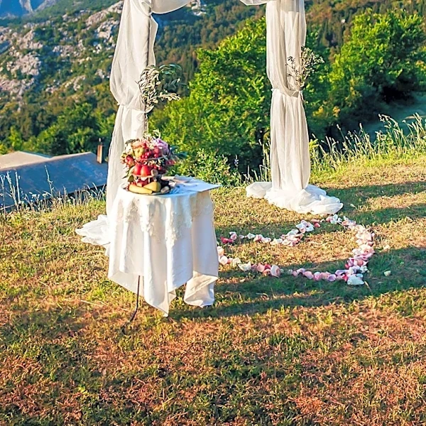 Phoebe Dynevor, 'Bridgerton' Actress, Marries Cameron Fuller in Provence, France