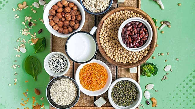 Nutraceuticals Market Sees Surge in Demand Driven by Gut Health, Personalized Nutrition, and Plant-Based Trends