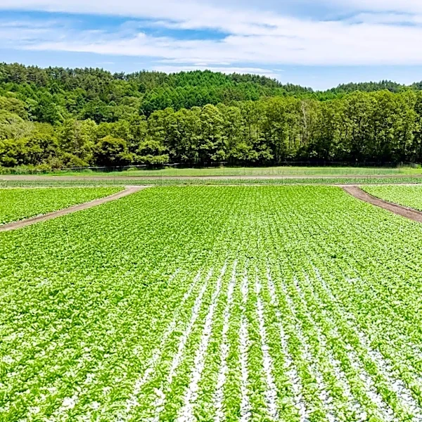 USDA Invests $26.5 Million in Value-Added Agriculture Projects Nationwide