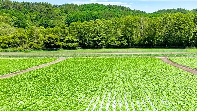 USDA Invests $26.5 Million in Value-Added Agriculture Projects Nationwide