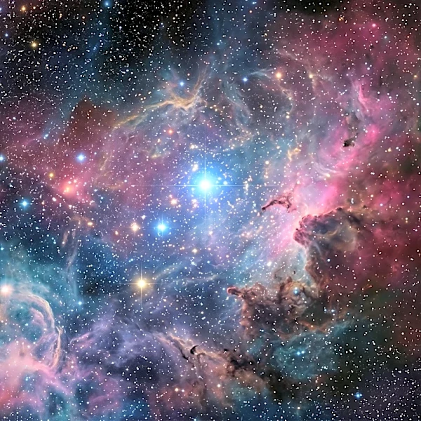 Filmmaker Eliza McNitt Collaborates with Darren Aronofsky's Primordial Soup and Google DeepMind on AI-Blended Short Film 'ANCESTRA'