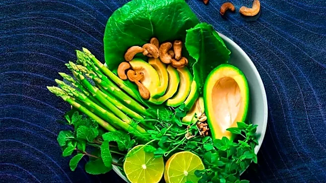 Lifestyle Choices Significantly Impact Gut Health and Overall Well-being