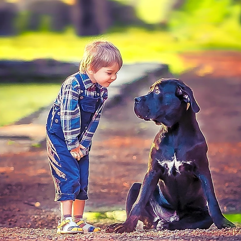 Cane Corso's Tired Stare at Energetic Toddler Goes Viral