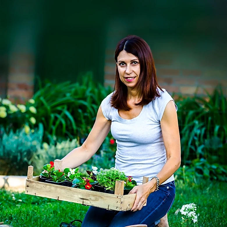 Gardening Sessions Utilize Structured Approach for Stress Reduction and Well-being