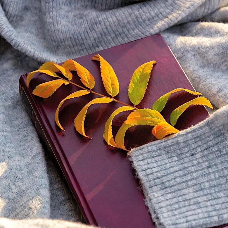 Reese's Book Club Team Unveils 'Fall Restock' Picks for Cozy Season