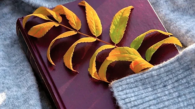 Reese's Book Club Team Unveils 'Fall Restock' Picks for Cozy Season