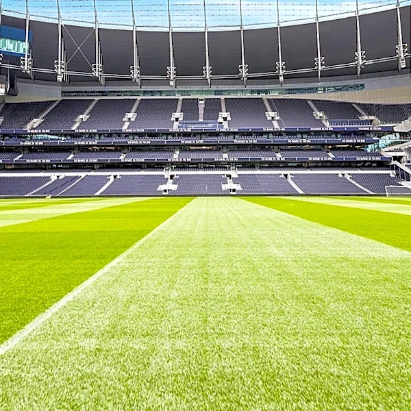 Tottenham Hotspur Seeks Sustainability Advisor to Advance Environmental Agenda