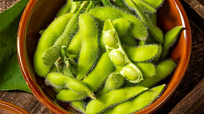 Edamame Identified as Key Protein for Healthy Aging and Longevity