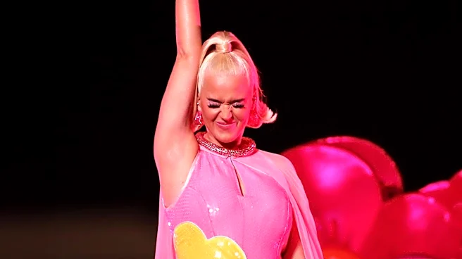 Katy Perry's 'Hot N Cold (Sesame Street Version)' Lyrics Highlight Playful Interaction