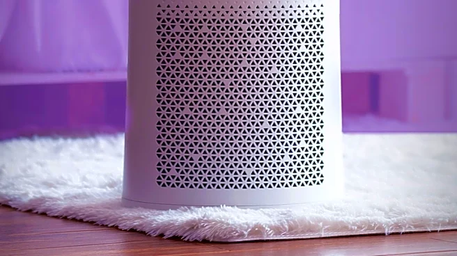 Dyson's Big+Quiet Formaldehyde Air Purifier Offers Premium Features in U.S. Market