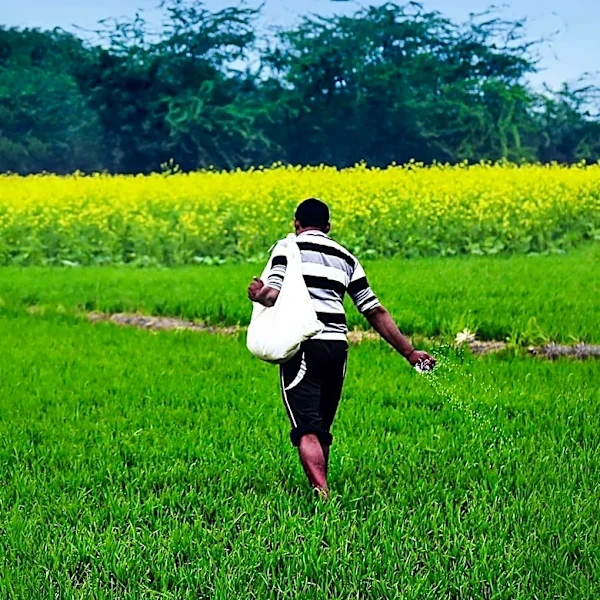 ACFI Proposes Rs 5,000-7,000 Crore Scheme to Boost India's Crop Protection Self-Reliance