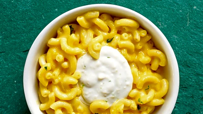 Japanese Condiment Transforms Boxed Mac and Cheese into Bold Dish