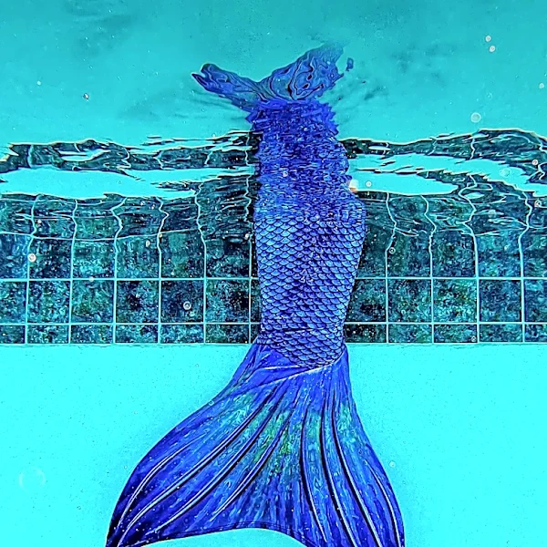 Sip 'N Dip Lounge in Great Falls Recognized as a Top Global Bar, Thrives with Unique Mermaid Attraction