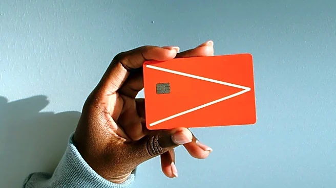 Nine-Year-Old YouTuber's Father Faces $118,000 Debt from Alleged Ad Campaign on Company Card