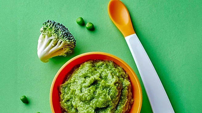 Food Standards Agency Recommends Authorization of Novel Food Ingredients for Infant Supplements in Great Britain