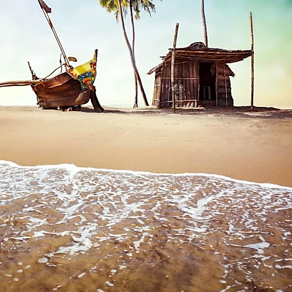 Seychelles Collaborates with India to Boost Seafood Industry and Tuna Fishing Revenue