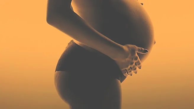 French Chiropractor Dr. Nathalie Paul Opens Pebble Lake Chiropractic in Fergus Falls, Specializing in Gentle Techniques and Prenatal Care
