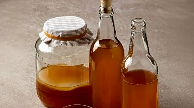 New Study Investigates Kombucha's Health Claims, Finds Biological Changes but No Stress Relief
