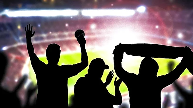 New Playbook for Sports Marketing Emphasizes Fan Engagement and Niche Sports