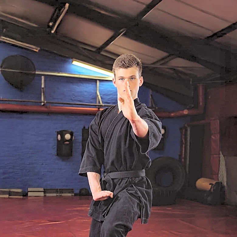 Martial Arts Training Enhances Mental Fitness Through Physical Exertion and Community
